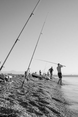 Lifestyle and Hobbies